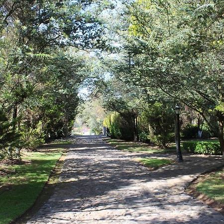 Rancho San Antonio Ξενοδοχείο Huasca de Ocampo Εξωτερικό φωτογραφία