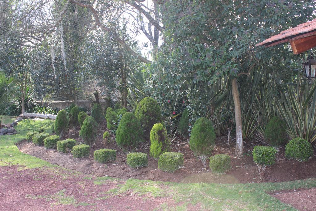 Rancho San Antonio Ξενοδοχείο Huasca de Ocampo Εξωτερικό φωτογραφία