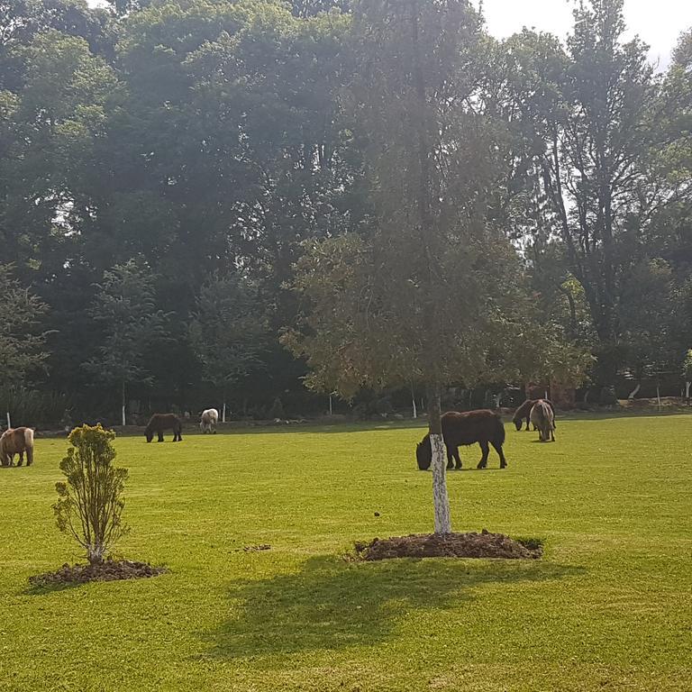 Rancho San Antonio Ξενοδοχείο Huasca de Ocampo Εξωτερικό φωτογραφία