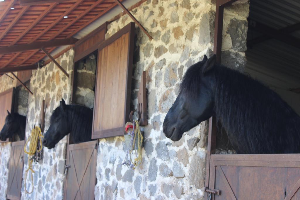 Rancho San Antonio Ξενοδοχείο Huasca de Ocampo Εξωτερικό φωτογραφία