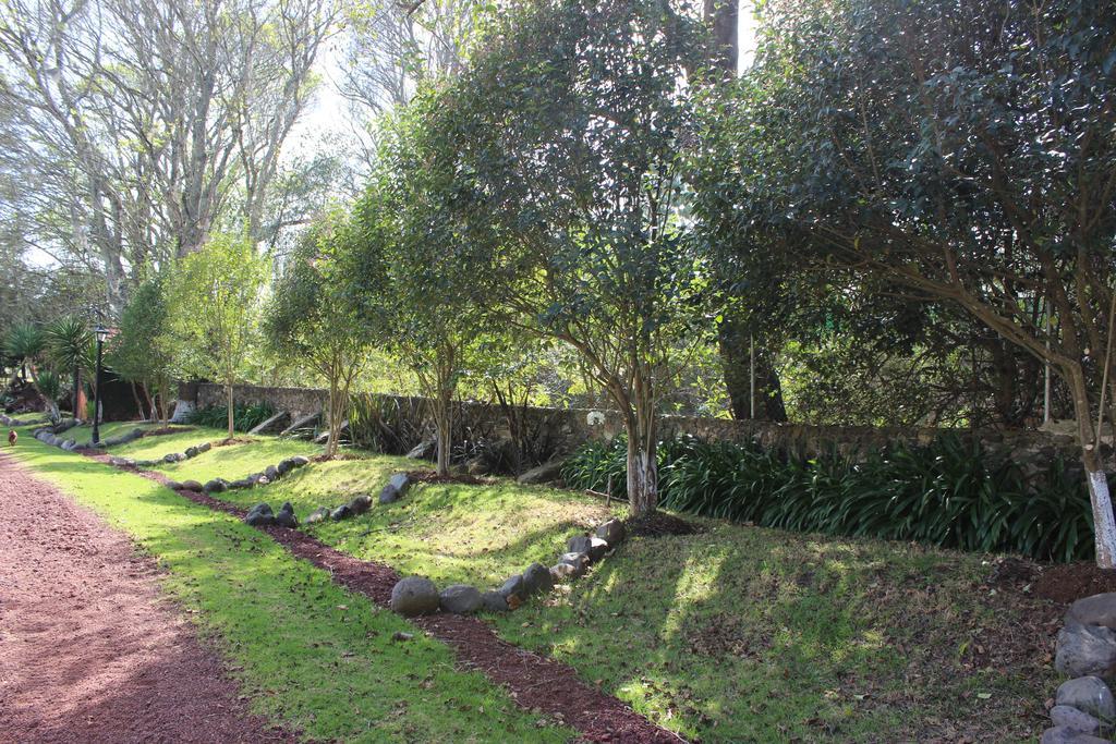 Rancho San Antonio Ξενοδοχείο Huasca de Ocampo Εξωτερικό φωτογραφία